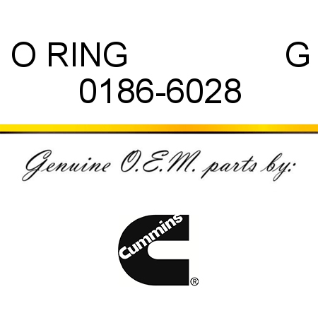O RING                 G 0186-6028
