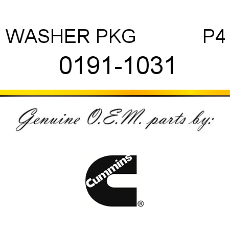 WASHER PKG             P4 0191-1031
