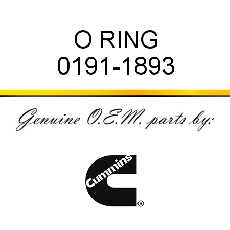 O RING 0191-1893