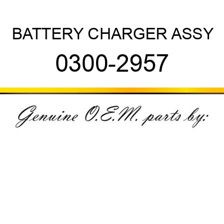 BATTERY CHARGER ASSY 0300-2957