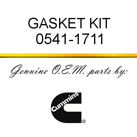 GASKET KIT 0541-1711