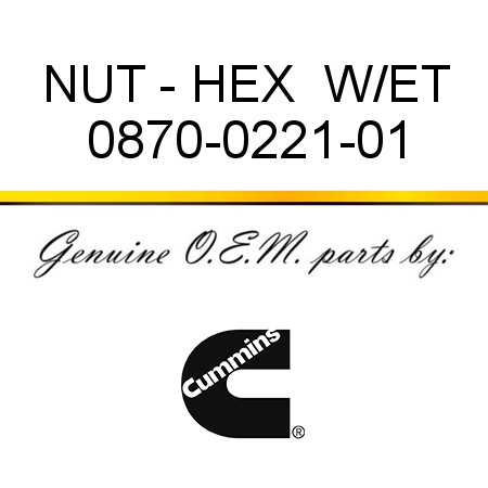 NUT - HEX  W/ET 0870-0221-01