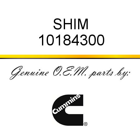 SHIM 10184300