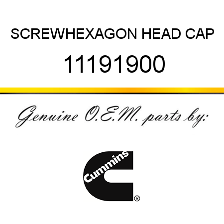 SCREW,HEXAGON HEAD CAP 11191900