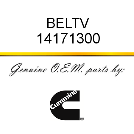 BELT,V 14171300