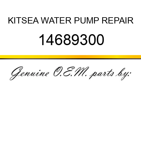 KIT,SEA WATER PUMP REPAIR 14689300