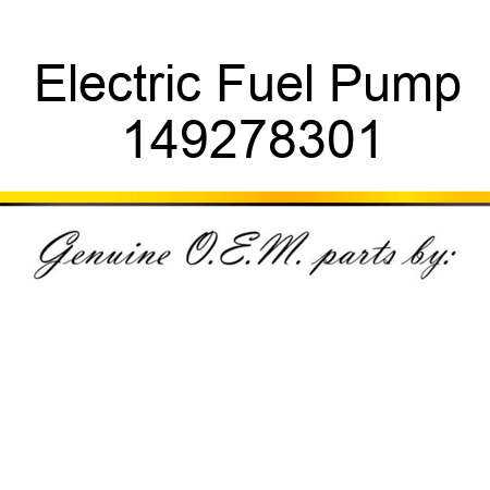 Electric Fuel Pump 149278301