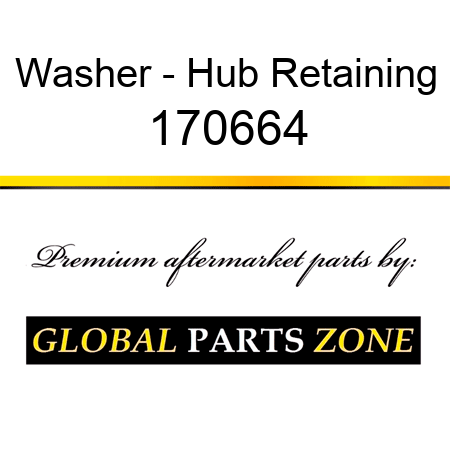 Washer - Hub Retaining 170664