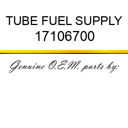 TUBE, FUEL SUPPLY 17106700