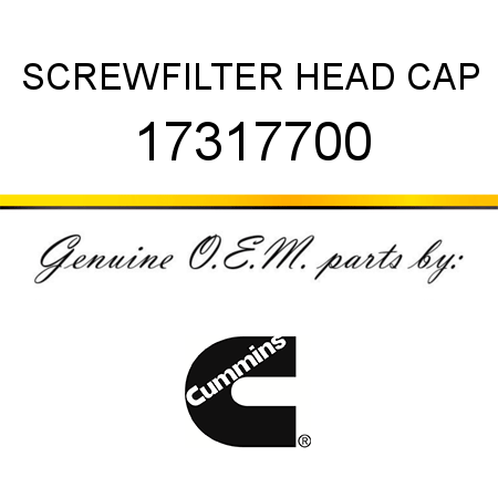 SCREW,FILTER HEAD CAP 17317700