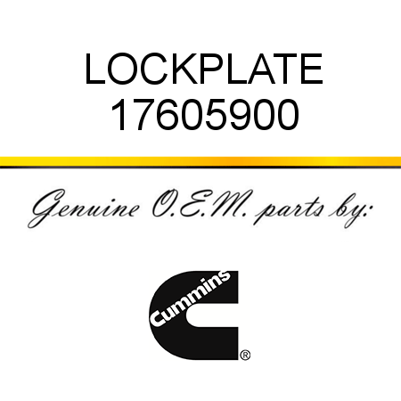 LOCKPLATE 17605900