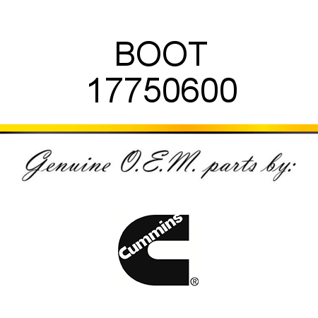 BOOT 17750600