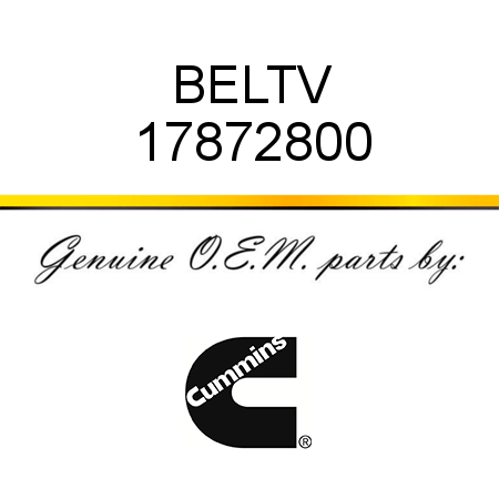 BELT,V 17872800