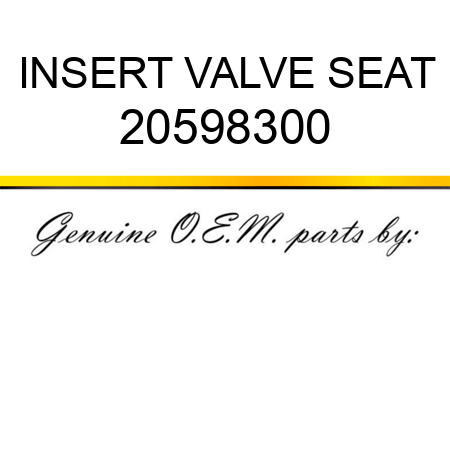 INSERT, VALVE SEAT 20598300