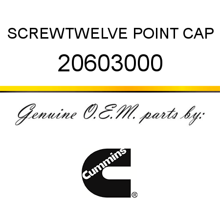 SCREW,TWELVE POINT CAP 20603000