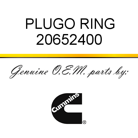 PLUG,O RING 20652400