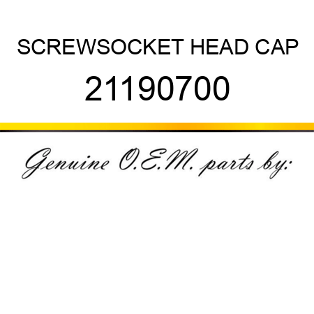 SCREW,SOCKET HEAD CAP 21190700