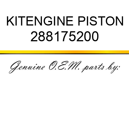 KIT,ENGINE PISTON 288175200