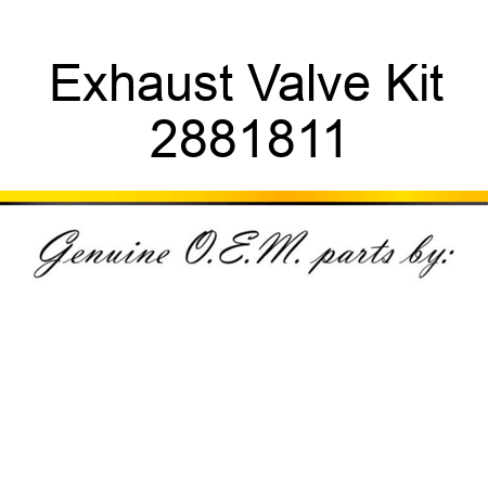 Exhaust Valve Kit 2881811