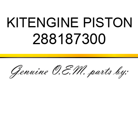 KIT,ENGINE PISTON 288187300