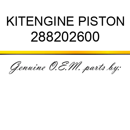 KIT,ENGINE PISTON 288202600