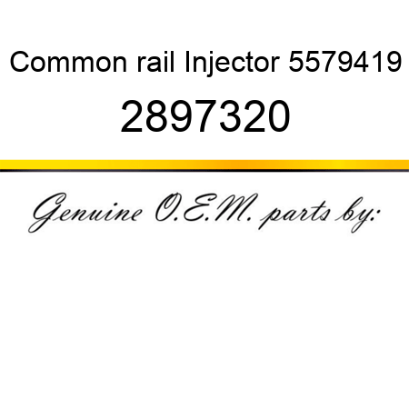 Common rail Injector 5579419 2897320