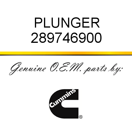 PLUNGER 289746900