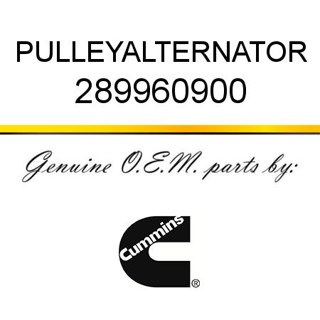 PULLEY,ALTERNATOR 289960900