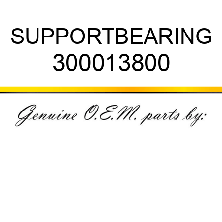 SUPPORT,BEARING 300013800