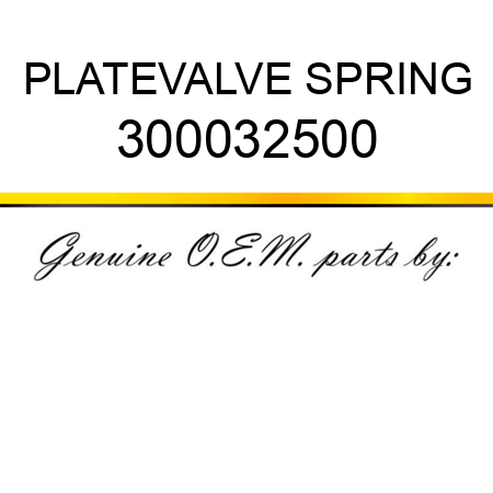 PLATE,VALVE SPRING 300032500