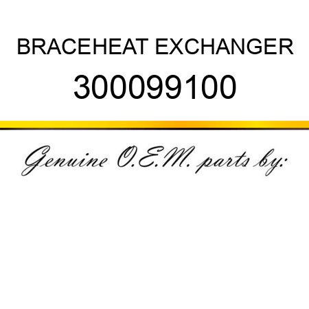 BRACE,HEAT EXCHANGER 300099100