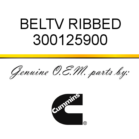 BELT,V RIBBED 300125900