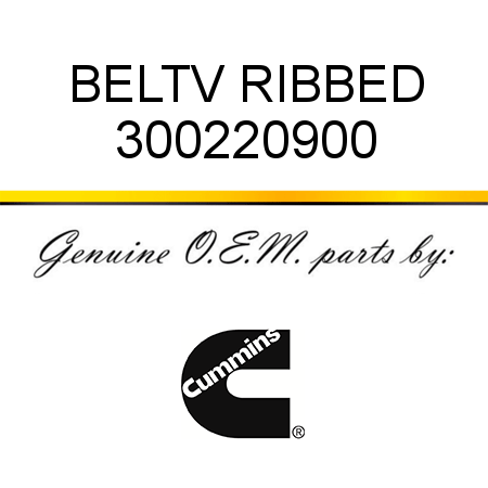 BELT,V RIBBED 300220900