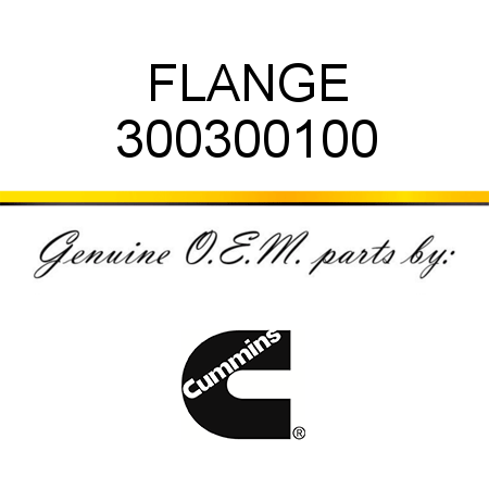 FLANGE 300300100
