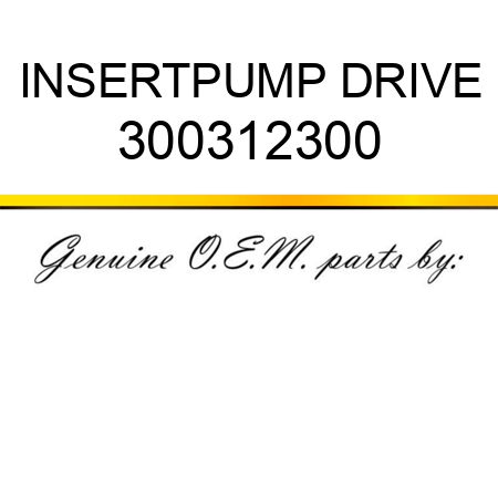 INSERT,PUMP DRIVE 300312300
