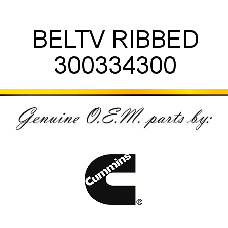 BELT,V RIBBED 300334300