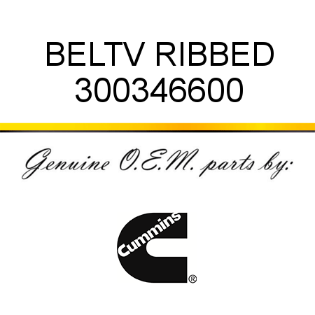 BELT,V RIBBED 300346600