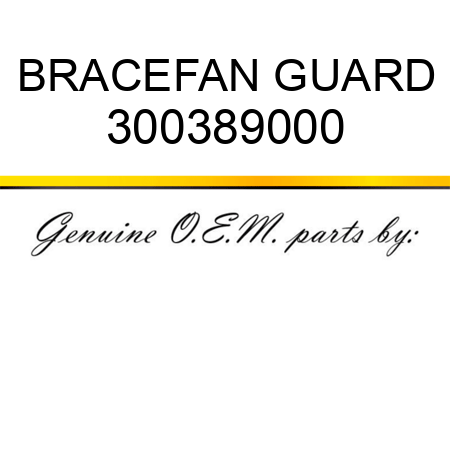 BRACE,FAN GUARD 300389000