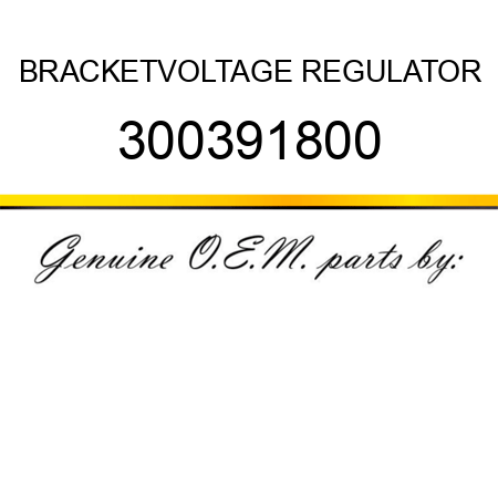 BRACKET,VOLTAGE REGULATOR 300391800