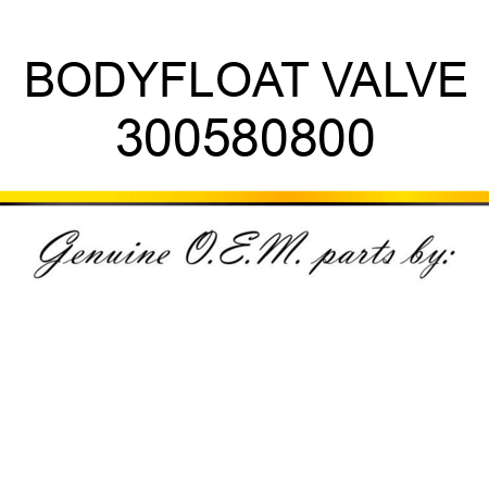 BODY,FLOAT VALVE 300580800