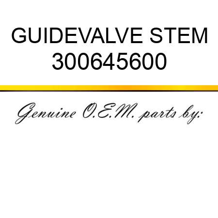 GUIDE,VALVE STEM 300645600