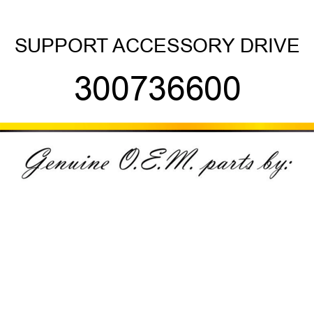 SUPPORT, ACCESSORY DRIVE 300736600