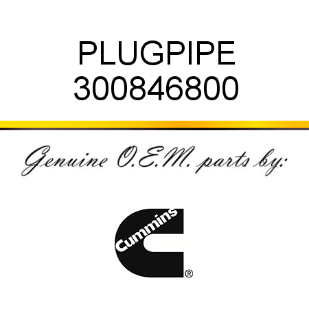 PLUG,PIPE 300846800