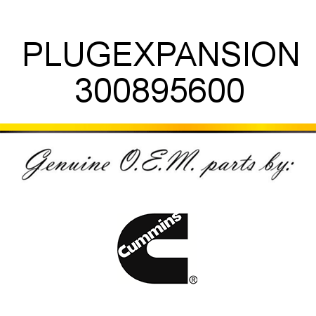 PLUG,EXPANSION 300895600