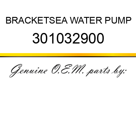 BRACKET,SEA WATER PUMP 301032900