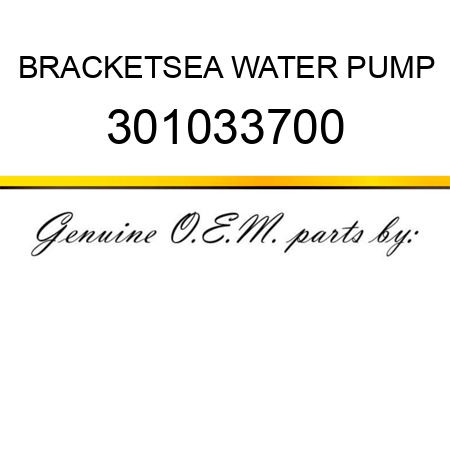 BRACKET,SEA WATER PUMP 301033700