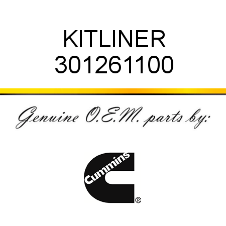 KIT,LINER 301261100