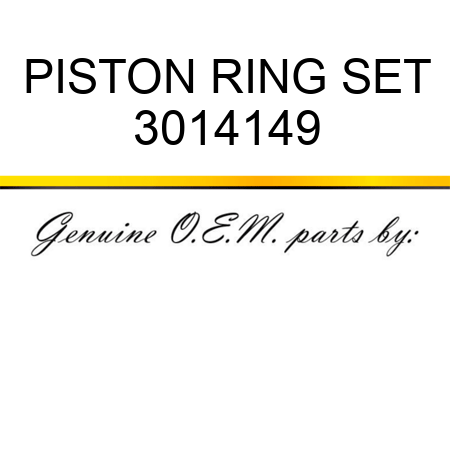 PISTON RING SET 3014149