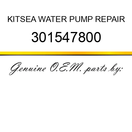 KIT,SEA WATER PUMP REPAIR 301547800