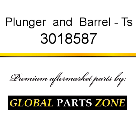 Plunger & Barrel - Ts 3018587